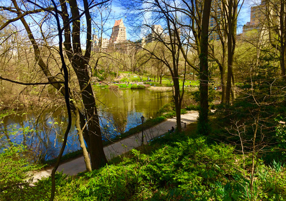 New York, USA